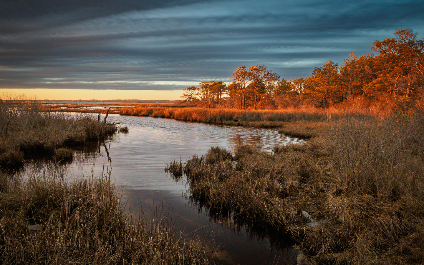 1st PrizeOpen Color In Class 2 By Jim Cotter For Assateague Sunset APR-2023.jpg